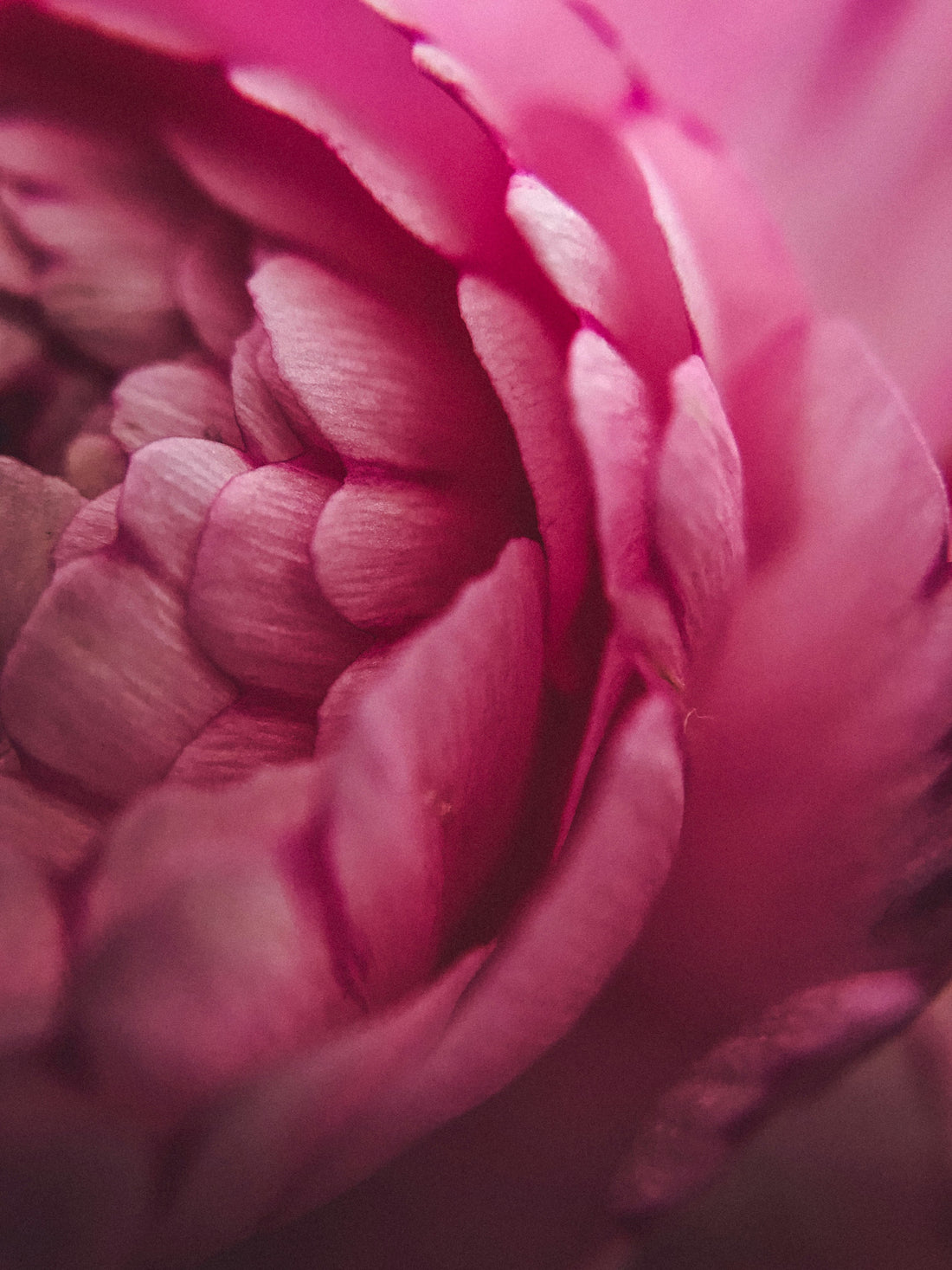 MOTHERS DAY REFLECTION: ANCESTRAL MEMORY, EMOTIONAL IMPRINTS, AND THE BODYS QUIET LANGUAGE
