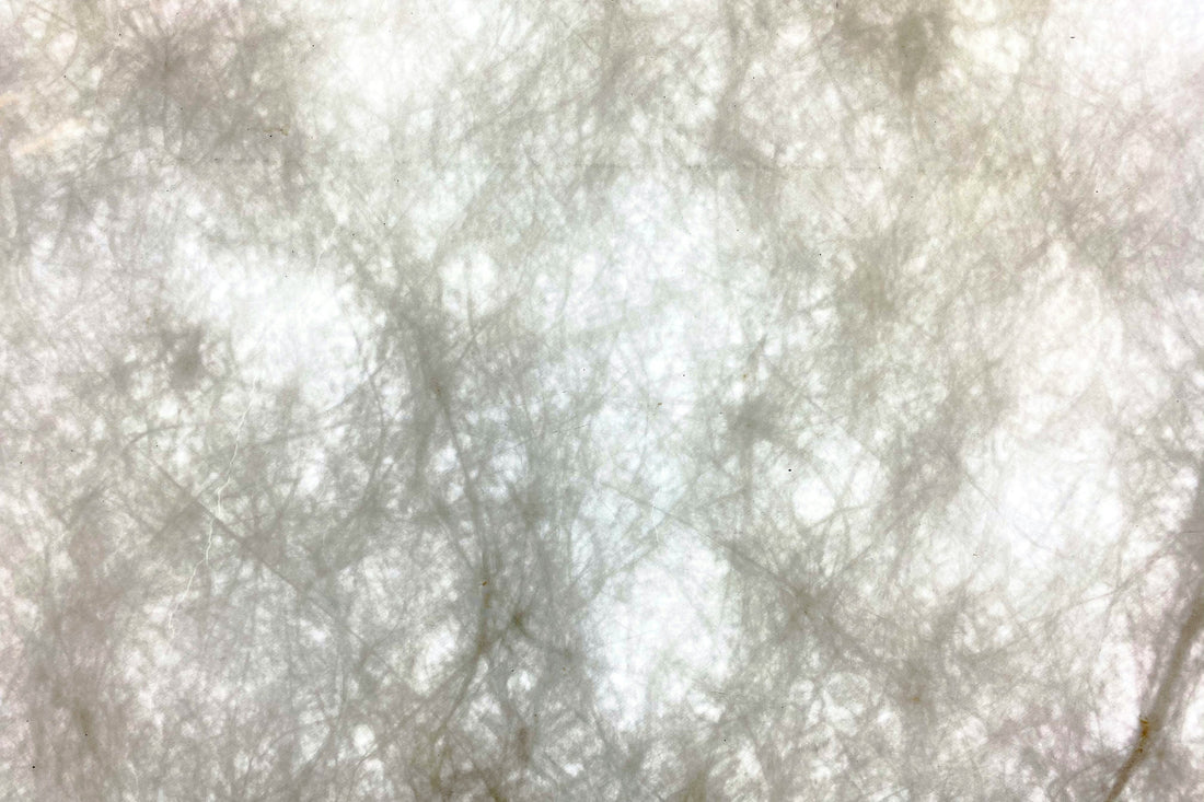 THE SACRED RIVER WITHIN: FASCIA, LYMPH & THE SPIRIT OF FLOW