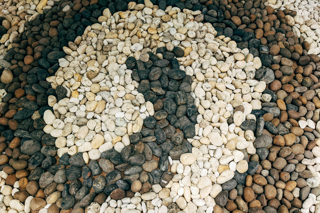 THE ENDOCANNABINOID SYSTEM: THE BODYS QUIET INTELLIGENCE THROUGH THE LENS OF TRADITIONAL CHINESE MEDICINE